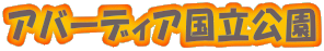 �A�o�[�f�B�A��������
