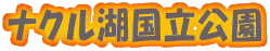 �i�N���΍�������